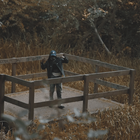 Video 5